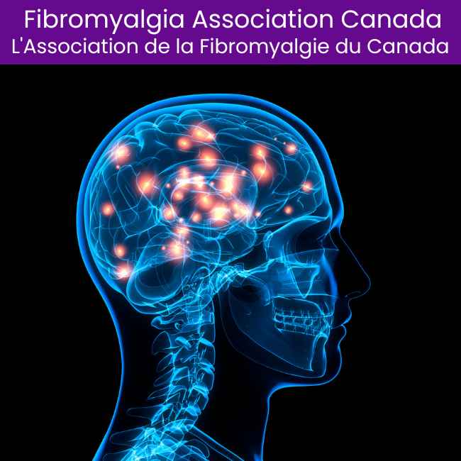brain-networks-neurophysiology-lab Dalhousie University Brain Networks & Neurophysiology Lab