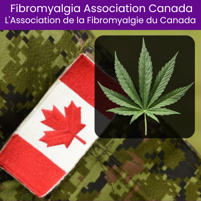 veterans-cannabis-users-and-nonusers-vecto Veterans’ Coping with Chronic Pain and Related Issues: Cannabis Users and Nonusers (VECTOR)