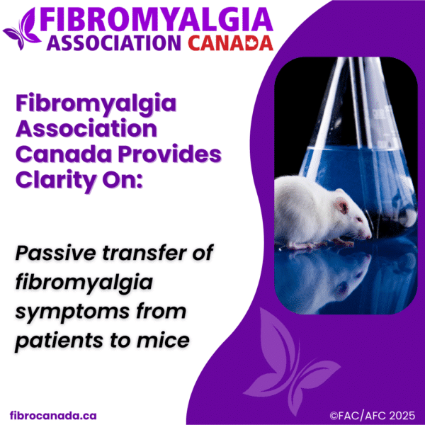 In the general population the incidence of FM is at least 2% but increases to 10-30% in people who have autoimmune rheumatological conditions. Based on this increase in prevalence the authors investigated whether autoreactive IgG is responsible for some of the key symptoms in FM. IgG is a type of protein antibody found in the blood, which protects us from bacterial and viral infections.