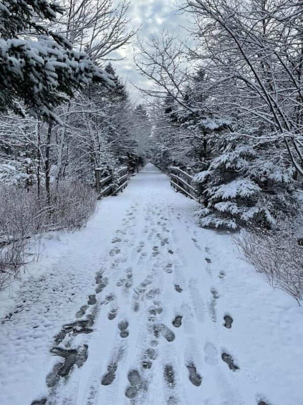 L’hiver au Canada n’est pas une mince affaire.